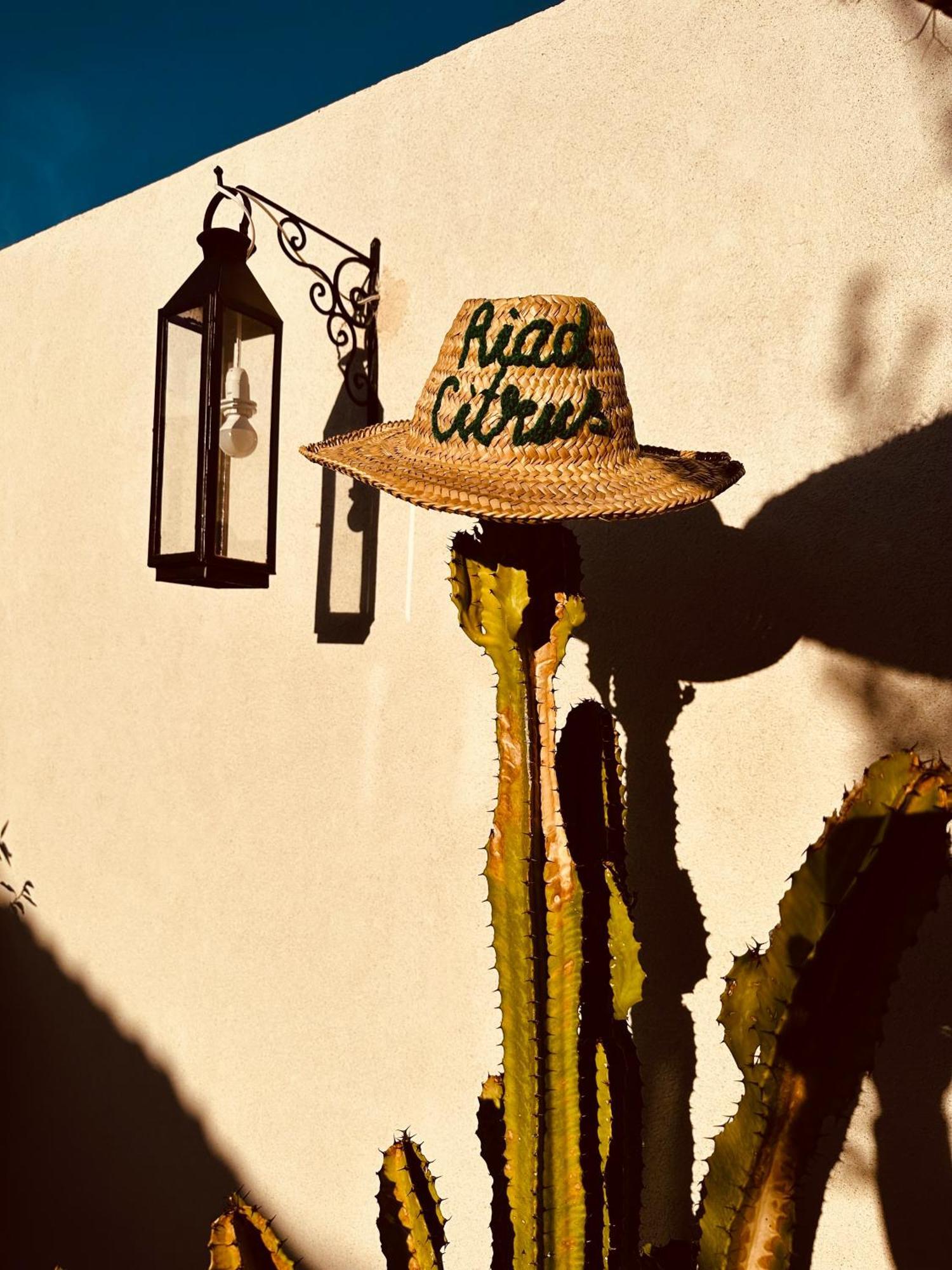 Riad Citrus By La Siredrah Marakeş Dış mekan fotoğraf